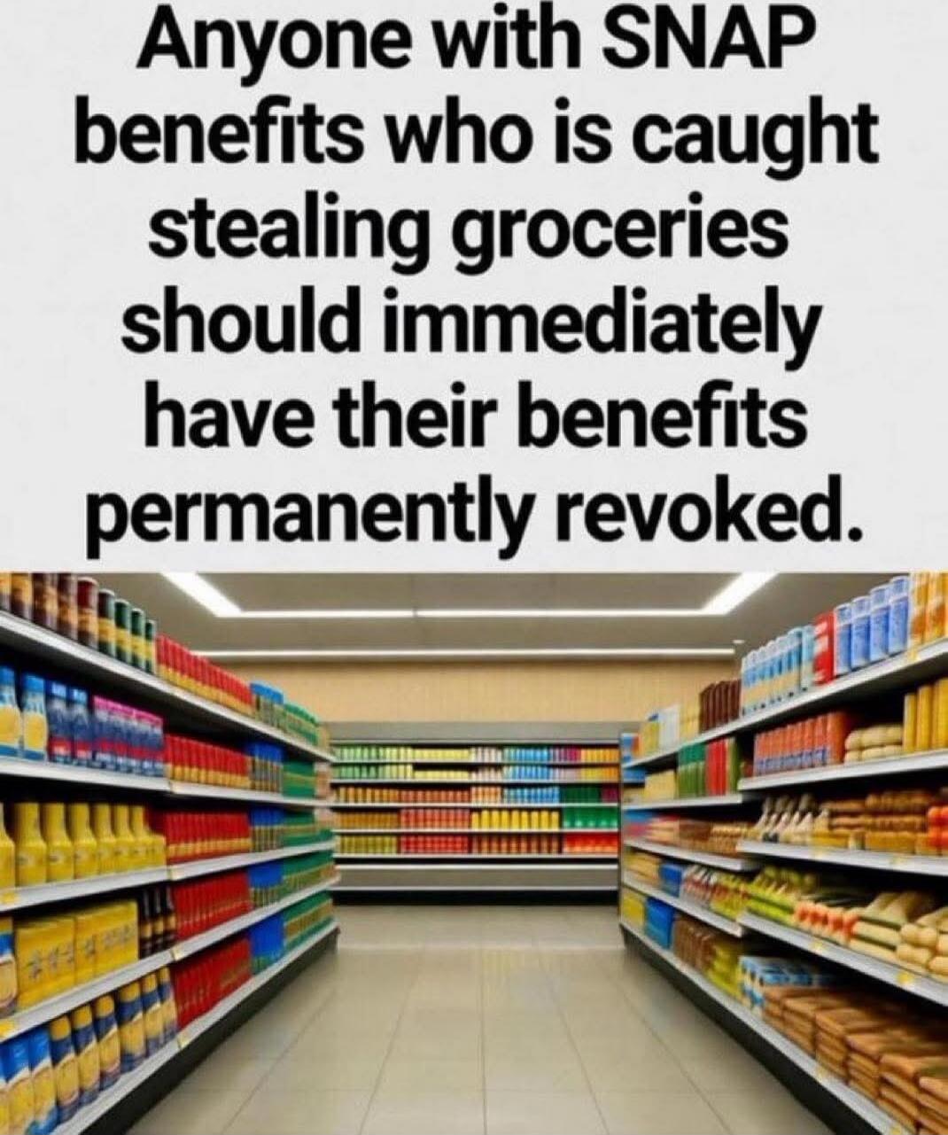 Anyone with SNAP benefits who is caught stealing groceries should immediately have their benefits permanently revoked.