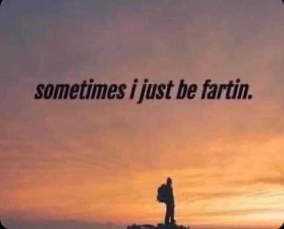 sometimes i just be fartin Y
