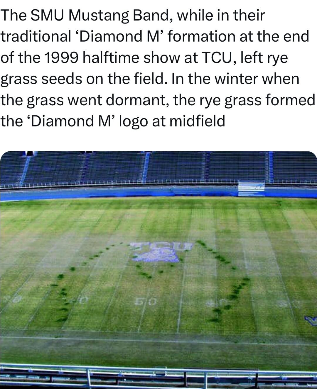The SMU Mustang Band while in their traditional Diamond M formation at the end of the 1999 halftime show at TCU left rye grass seeds on the field In the winter when the grass went dormant the rye grass formed the Diamond M logo at midfield