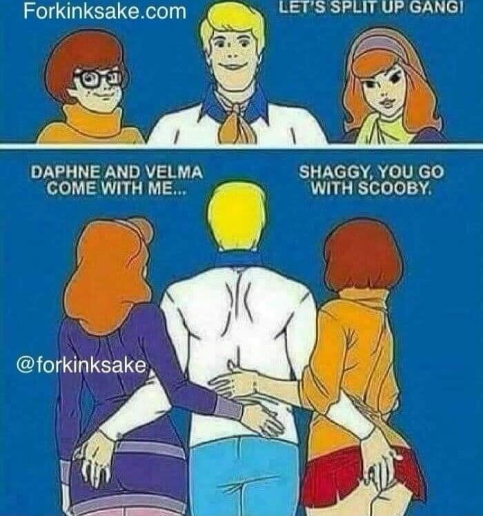 Forkinksake.com LET'S SPLIT UP GANG! DAPHNE AND VELMA COME WITH ME... SHAGGY, YOU GO WITH SCOOBY. @forkinksake