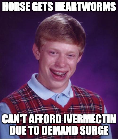 HORSE GETS HEARTWORMS e CANT AFFORD IVERMECTIN DUE TO DEMAND SURGE