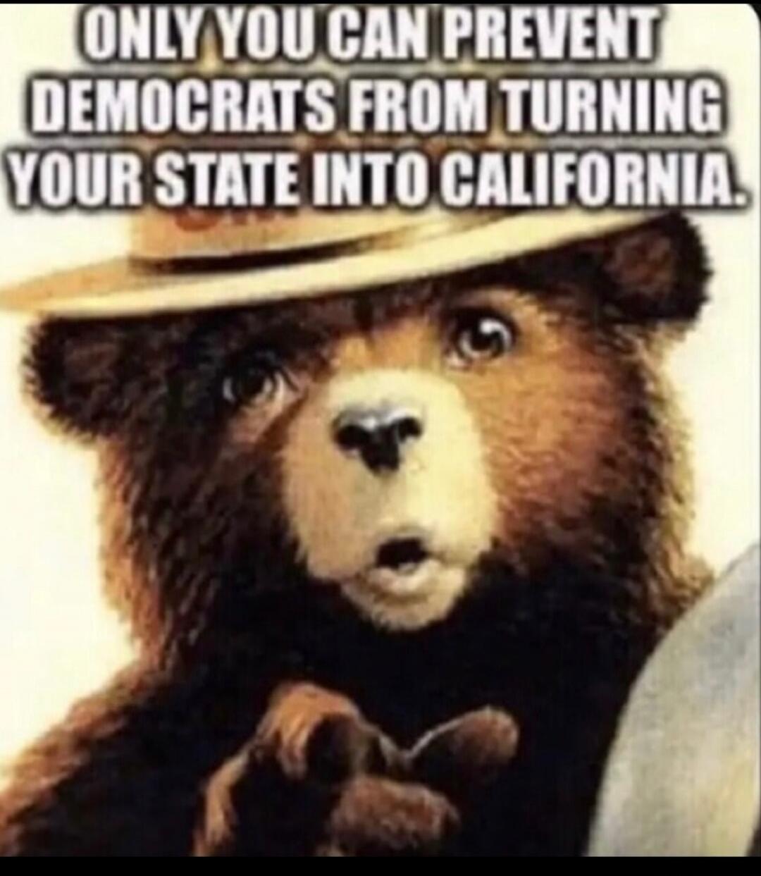 ONLY YOU CAN PREVENT DEMOCRATS FROM TURNING YOUR STATE INTO CALIFORNIA.