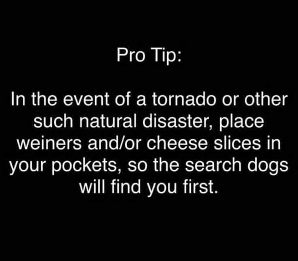 Pro Tip In the event of a tornado or other SV N EN T UNe RE TS T o 1 weiners andor cheese slices in eV olelel Gl EMETOR RET ET el g We oo WLRlaTeRYeIRIS18