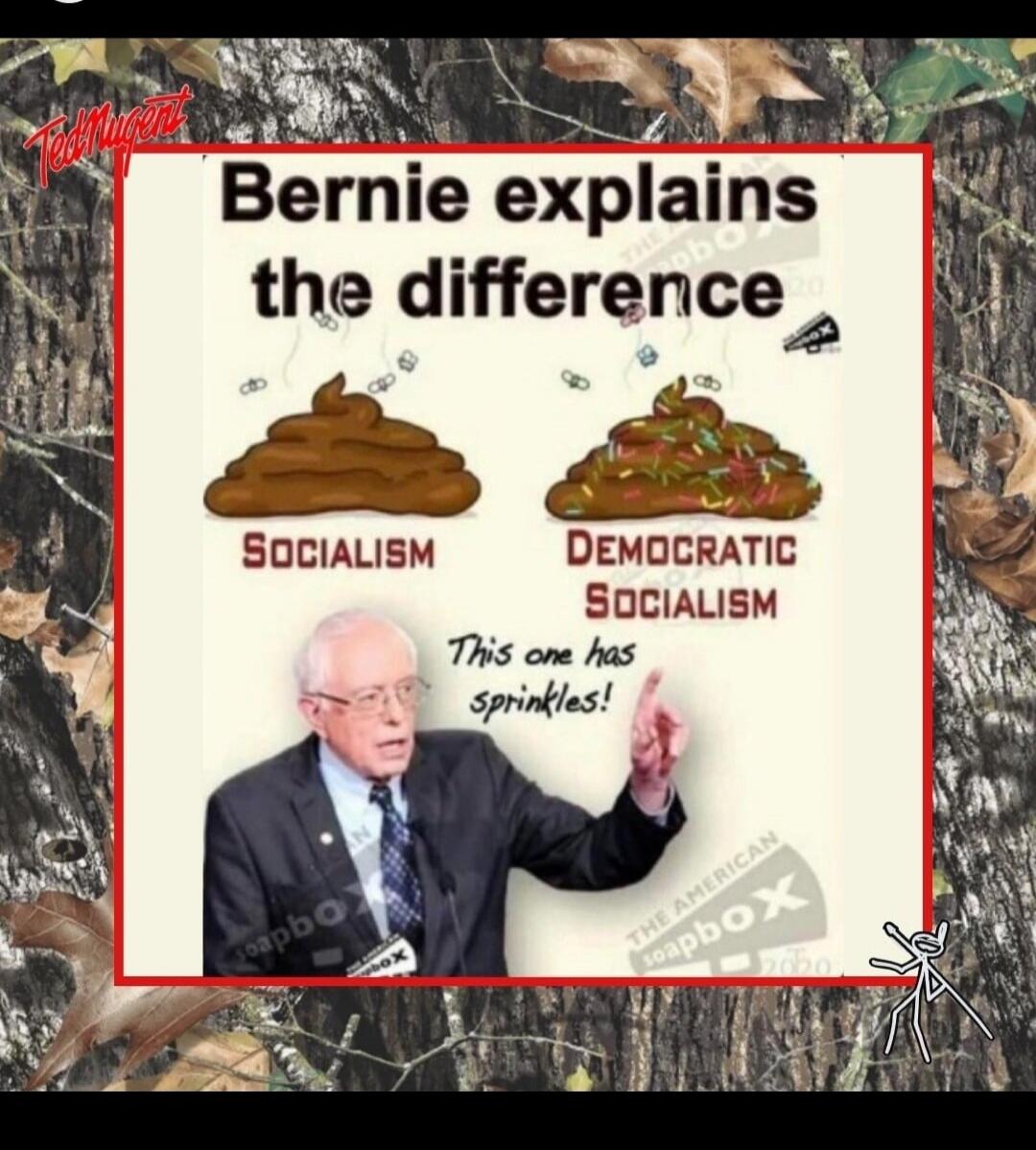 Bernie explains the difference. Socialism. Democratic Socialism. This one has sprinkles!