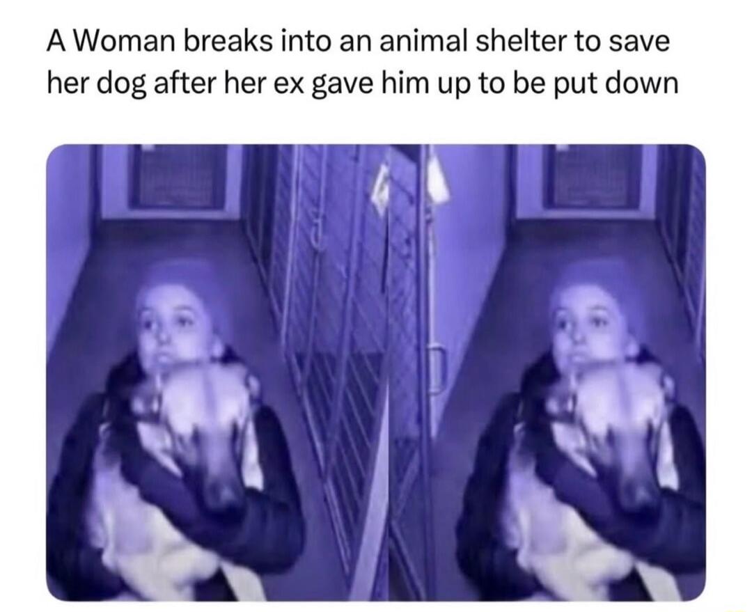 A Woman breaks into an animal shelter to save her dog after her ex gave him up to be put down