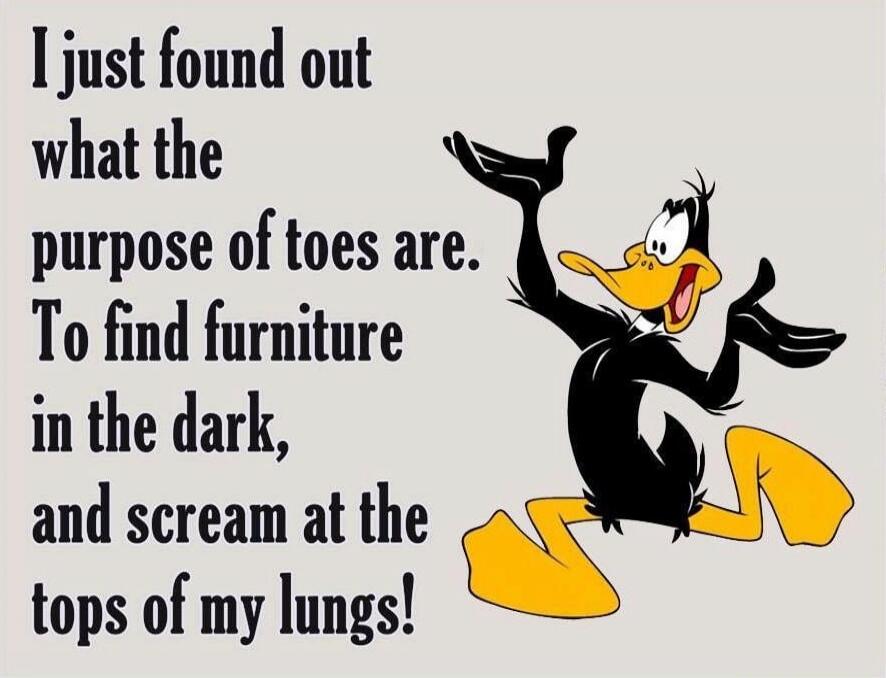 I just found out what the purpose of toes are. To find furniture in the dark, and scream at the tops of my lungs! Session ID: 1060236.
