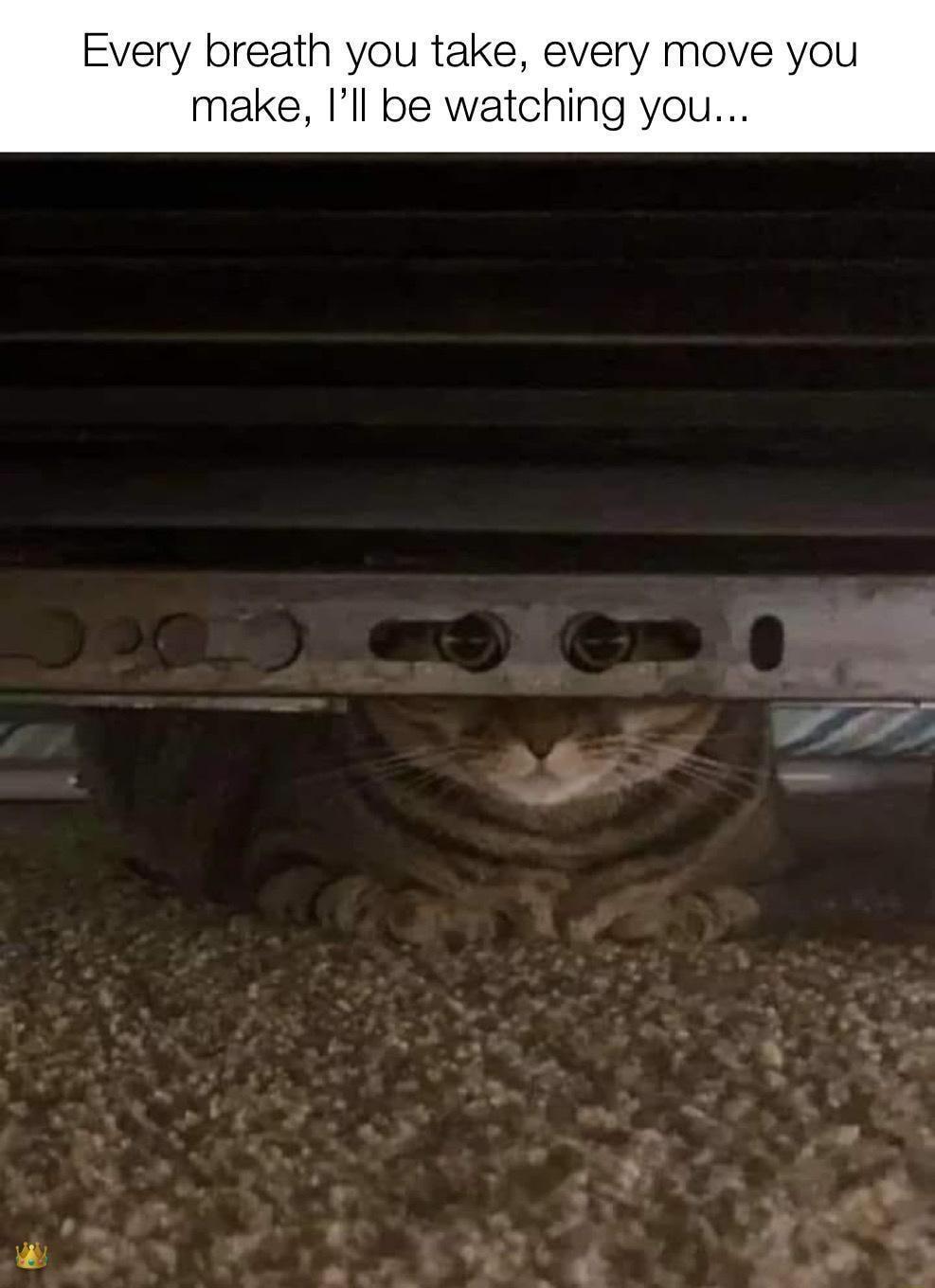 Every breath you take every move you make Ill be watching you