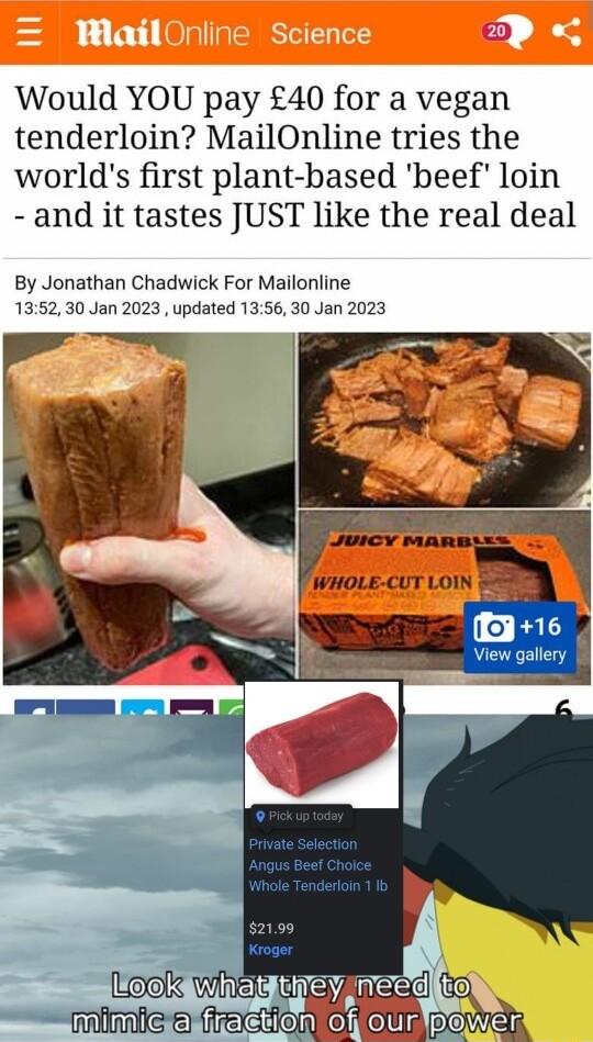 Would YOU pay 40 for a vegan tenderloin MailOnline tries the worlds first plant based beef loin and it tastes JUST like the real deal By Jonathan Chadwick For Mailonline 1352 30 Jan 2023 updated 1356 30 Jan 2023