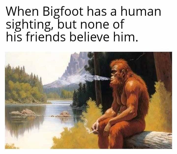 When Bigfoot has a human sighting, but none of his friends believe him.