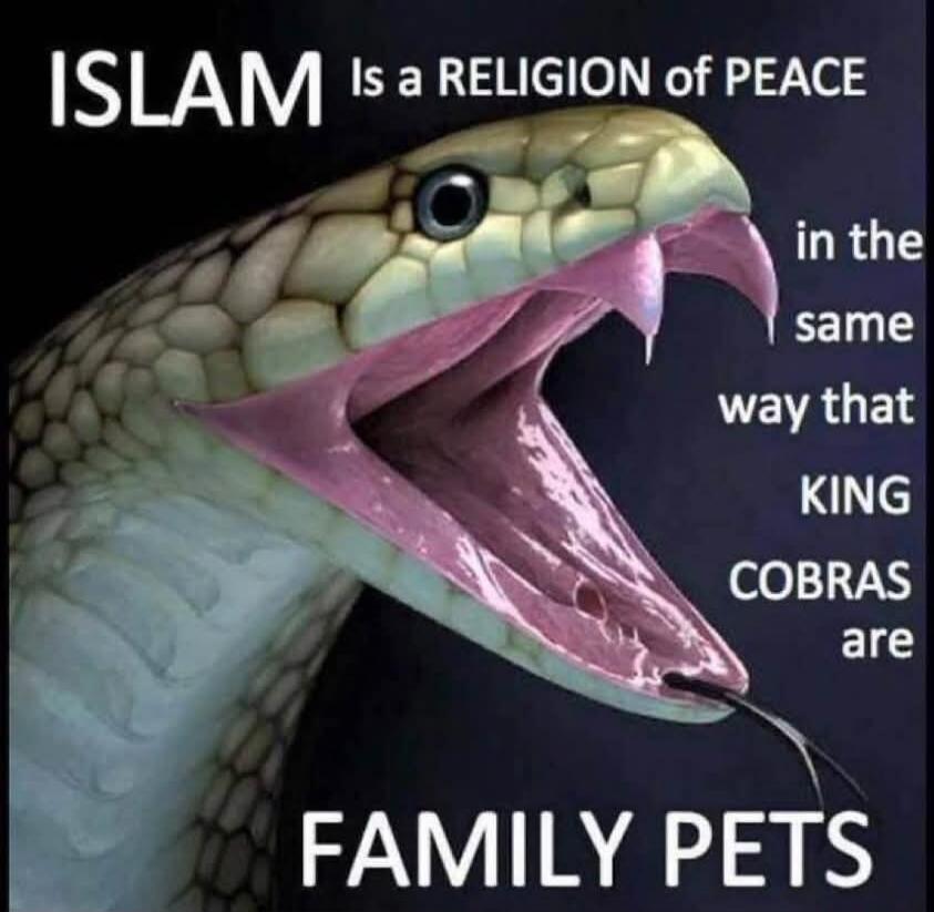 ISLAM Is a RELIGION of PEACE in the same way that KING COBRAS are FAMILY PETS