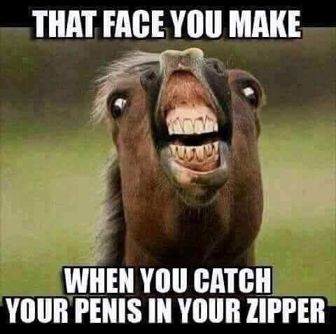 THAT FACE YOU MAKE WHEN YOU CATCH YOUR PENIS IN YOUR ZIPPER