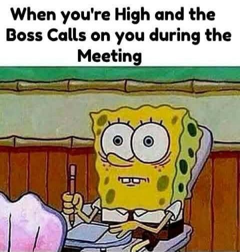 When you're High and the Boss Calls on you during the Meeting
