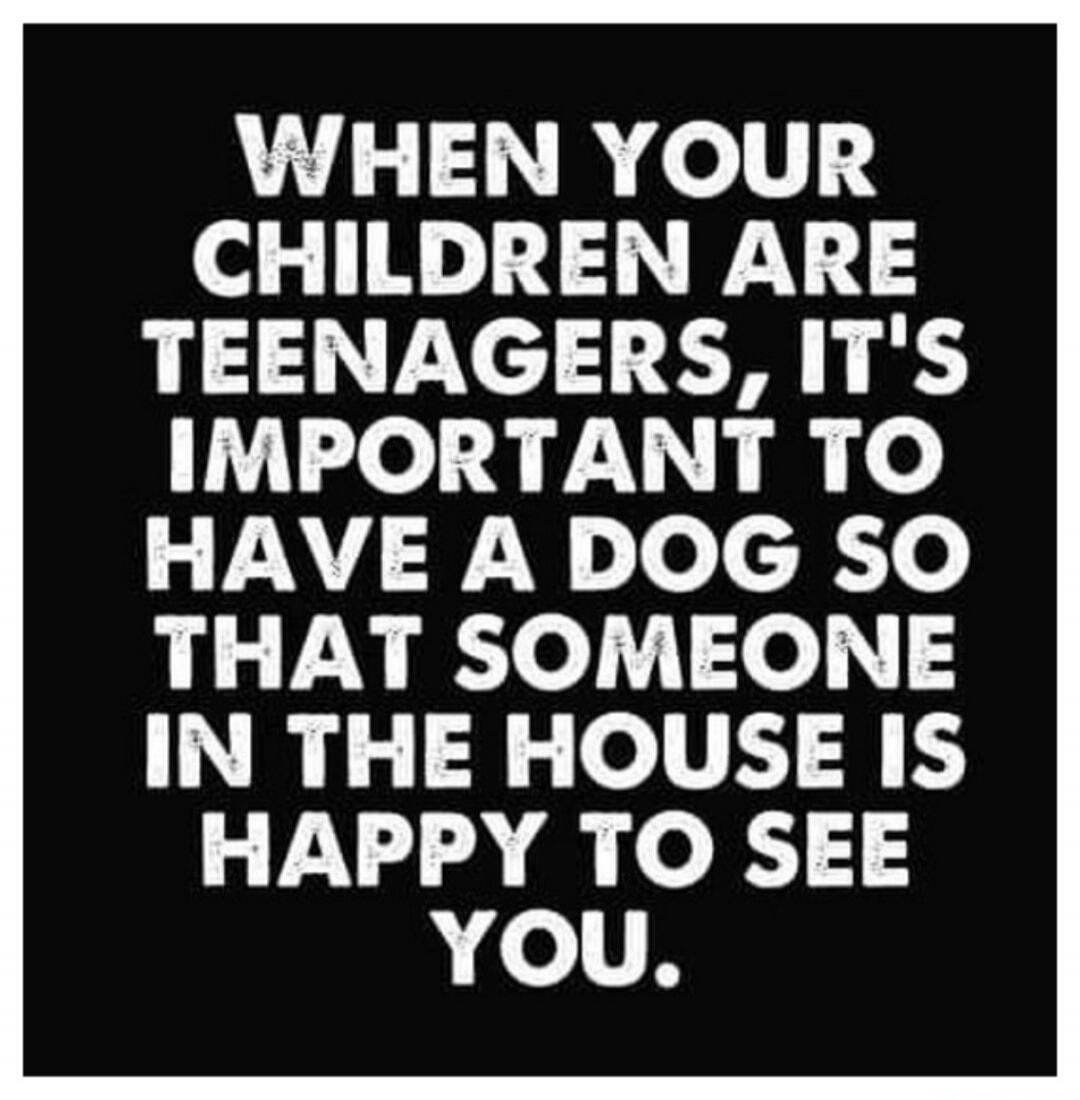 WHEN YOUR CHILDREN ARE TEENAGERS, IT'S IMPORTANT TO HAVE A DOG SO THAT SOMEONE IN THE HOUSE IS HAPPY TO SEE YOU.