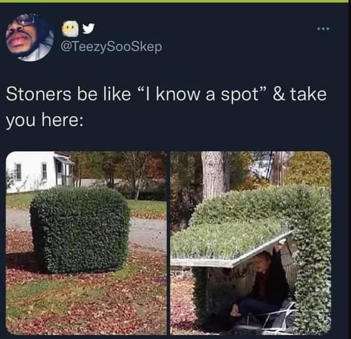 o As Y j TeezySooSkep Stoners be like I know a spot take you here