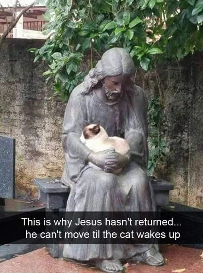 This is why Jesus hasnt returned he cant move til the cat wakes up e