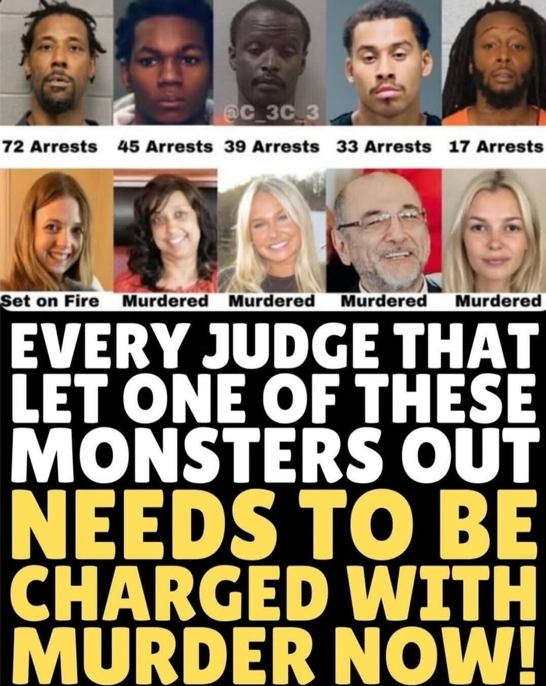 72 Arrests, 45 Arrests, 39 Arrests, 33 Arrests, 17 Arrests. Set on Fire, Murdered, Murdered, Murdered, Murdered. EVERY JUDGE THAT LET ONE OF THESE MONSTERS OUT NEEDS TO BE CHARGED WITH MURDER NOW!