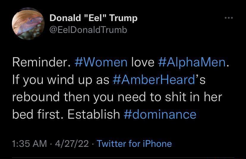 Donald Eel Trump EelDonaldTrumb Reminder Women love AlphaMen Yo IVRNYi ale MUToR TSN R o ETd n T O IS g1oloValo Rual TaRYe VN T T To R o Rl al M Ta W aTcTd lolTo RTES M 51 ol I aIEe loTnalptTalete 135 AM 42722 Twitter for iPhone