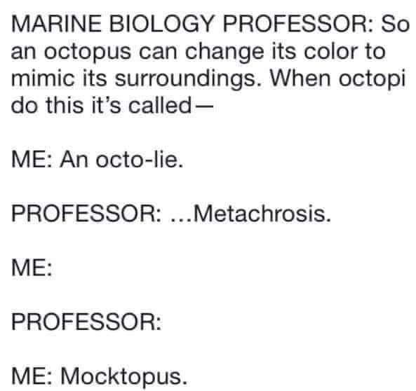 MARINE BIOLOGY PROFESSOR So an octopus can change its color to mimic its surroundings When octopi do this its called ME An octo lie PROFESSOR Metachrosis ME PROFESSOR ME Mocktopus