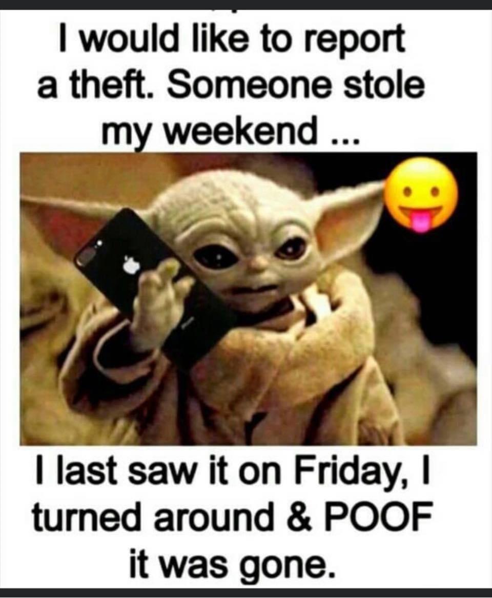 would like to report a theft Someone stole weekend v last saw it on Friday turned around POOF it was gone