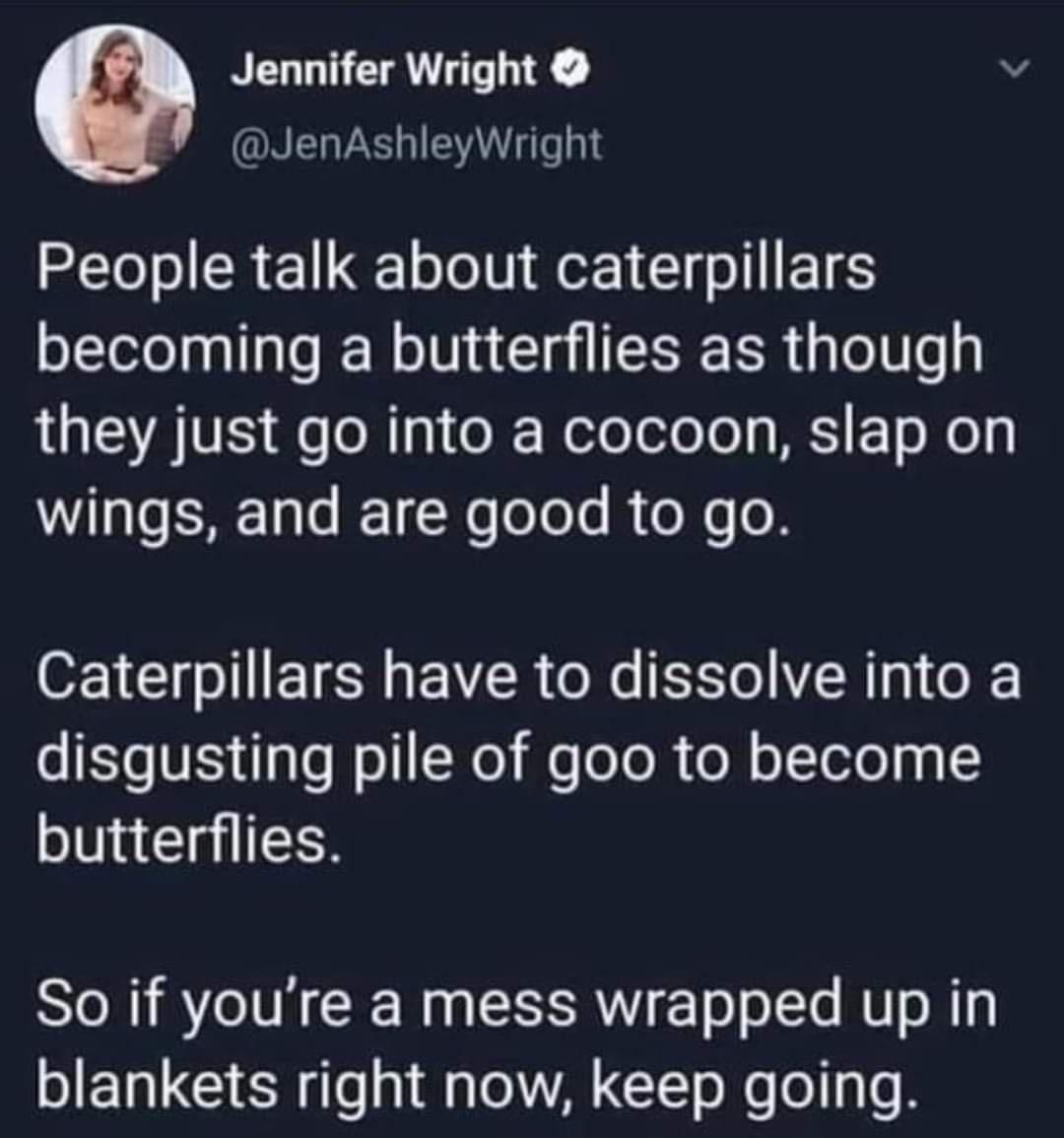 Jennifer Wright v JenAshleyWright People talk about caterpillars becoming a butterflies as though they just go into a cocoon slap on wings and are good to go Caterpillars have to dissolve into a V T o W e TeTo R e N o ToTol 1y 1 butterflies So if youre a mess wrapped up in blankets right now keep going