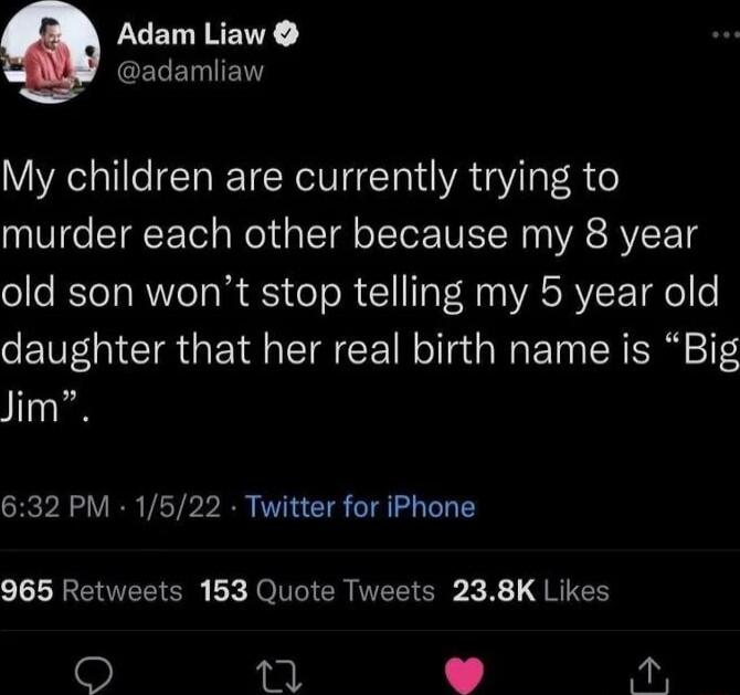 LUELNRENT CELENIEN My children are currently trying to murder each other because my 8 year old son wont stop telling my 5 year old daughter that her real birth name is Big Jim 632 PM 1522 Twitter for iPhone LGN C X JO N CR I C X B RISH 1 w iy