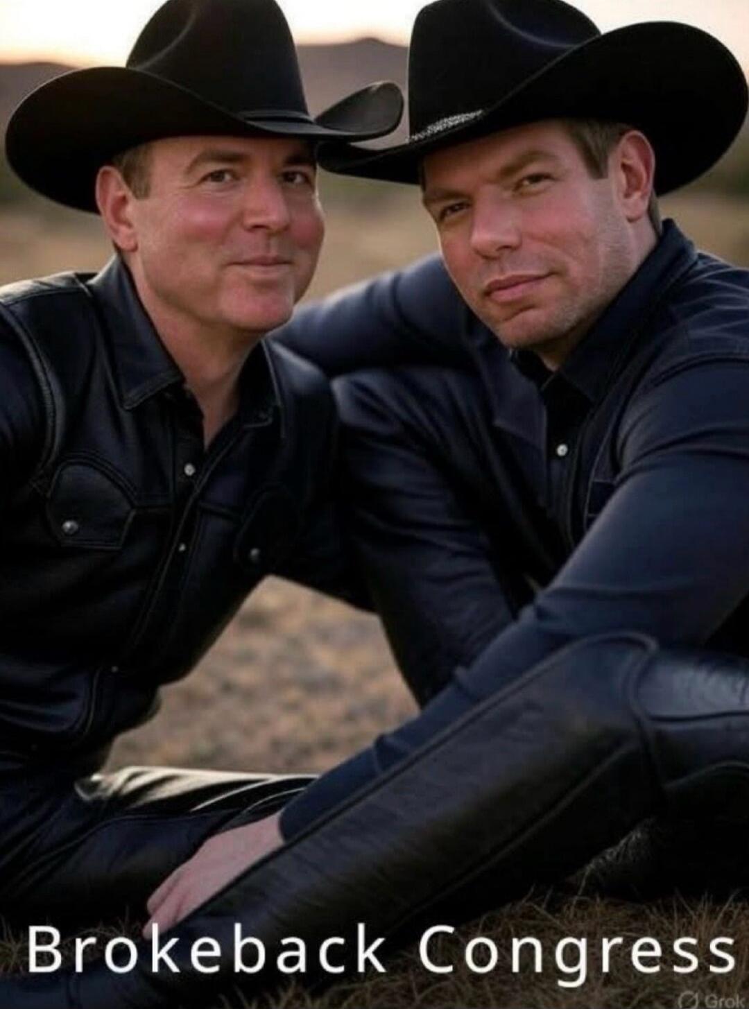 Brokeback Congress