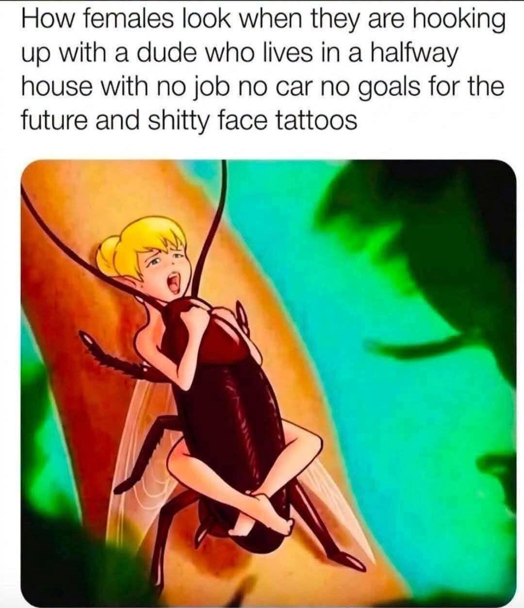 How females look when they are hooking up with a dude who lives in a halfway house with no job no car no goals for the future and shitty face tattoos