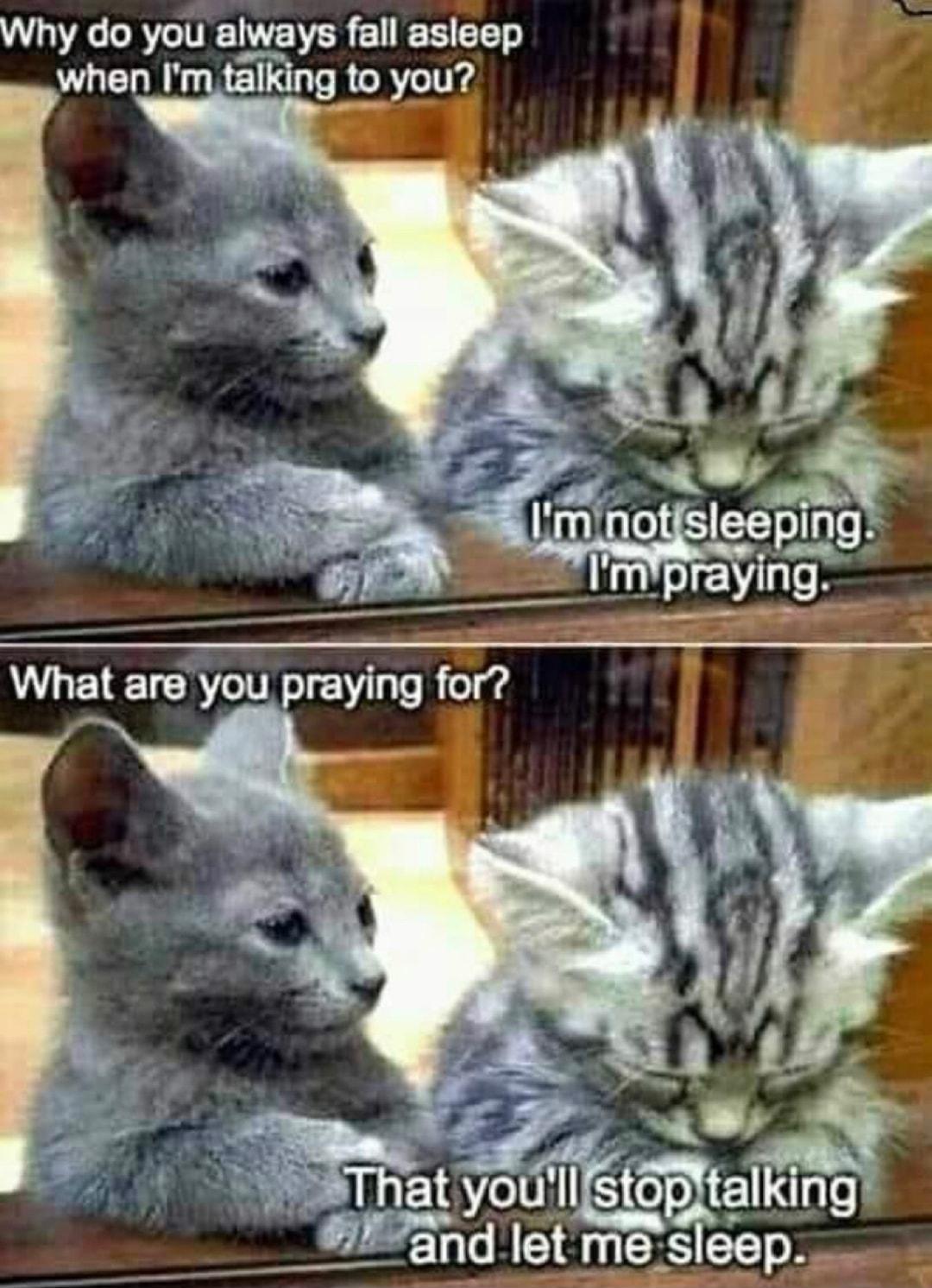 Why do you always fall asleep when Im talking to you opltalking
