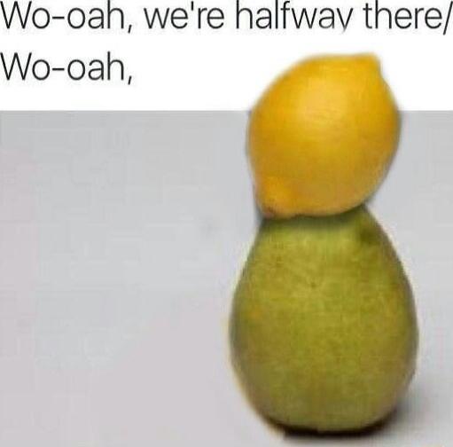 Wo 0an were halfway there Wo oah