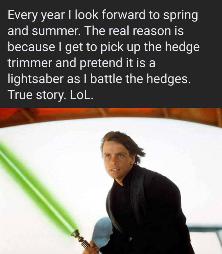 SV ATCE T N oTel ol aWET o R e R o g 1o1 and summer The real reason is because get to pick up the hedge trimmer and pretend it is a lightsaber as battle the hedges True story LoL
