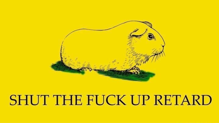 SHUT THE FUCK UP RETARD