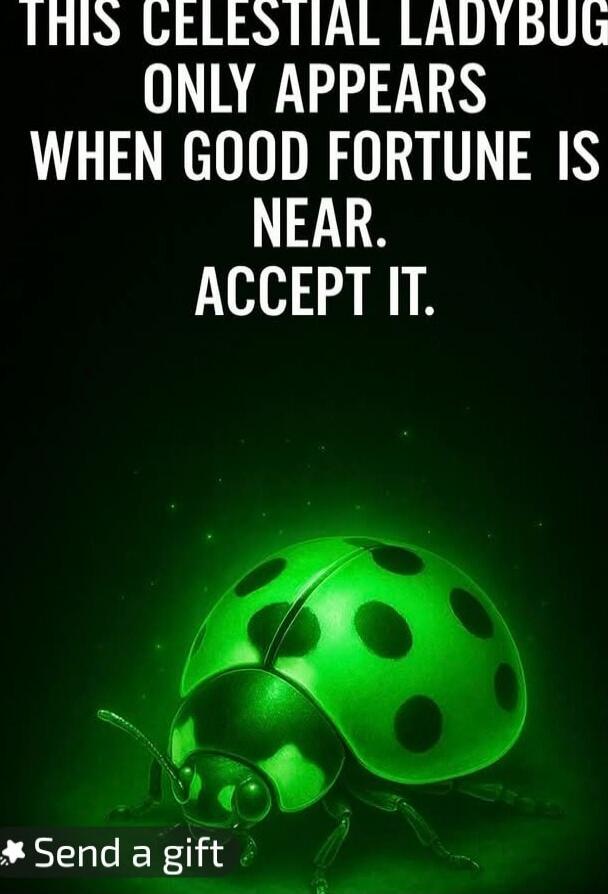 THIS CELESTIAL LADYBUG ONLY APPEARS WHEN GOOD FORTUNE IS NEAR. ACCEPT IT. Send a gift