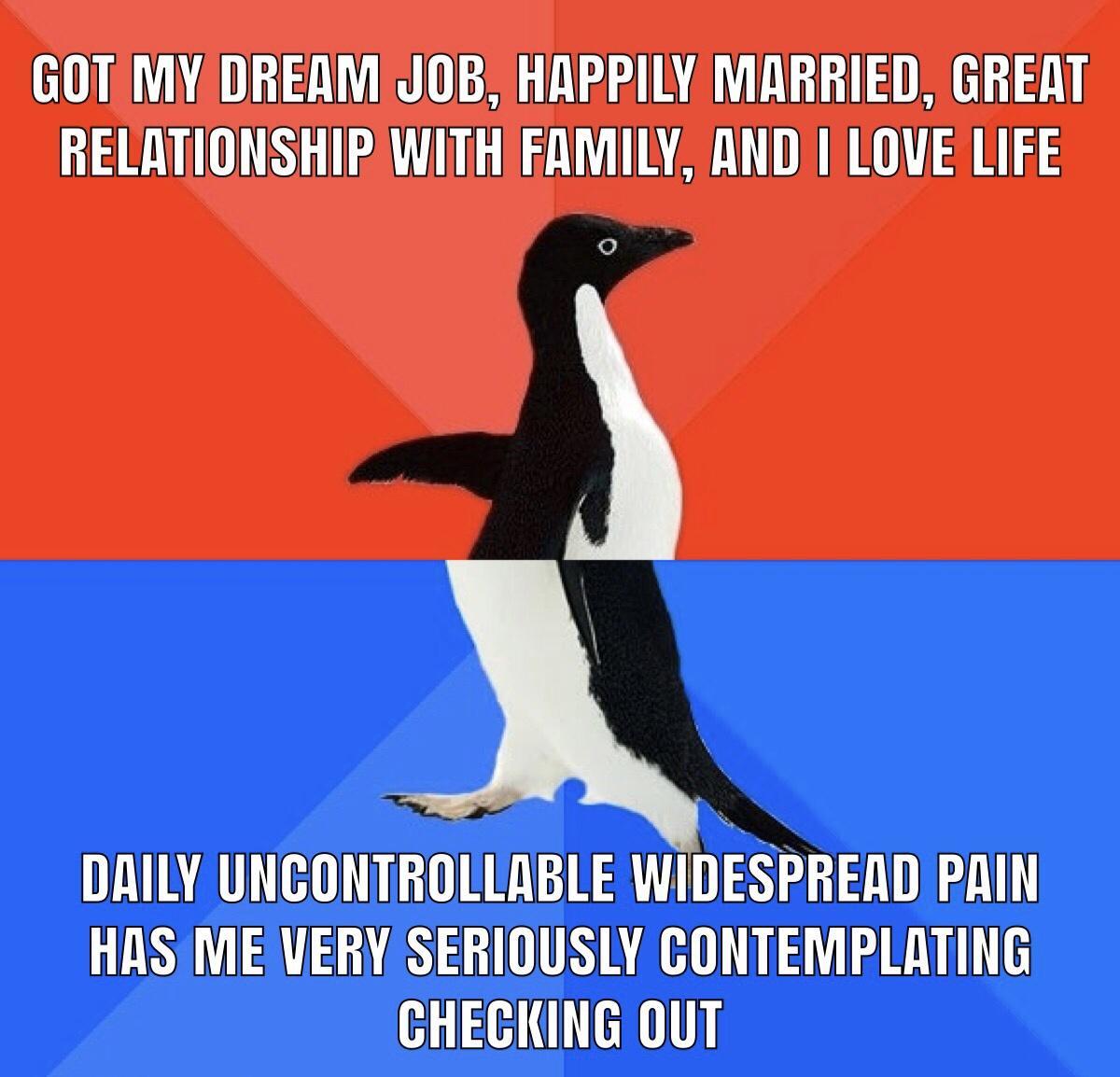 GOTMYDREAM JOB HAPPILY MARRIED GREAT RELATIONSHIPWITHFAMILY ANDI LOVE LIFE DAILY UNCONTROLLABLE WIDESPREAD PAIN HAS MEVERY SERIOUSLY CONTEMPLATING CHECKING OUT