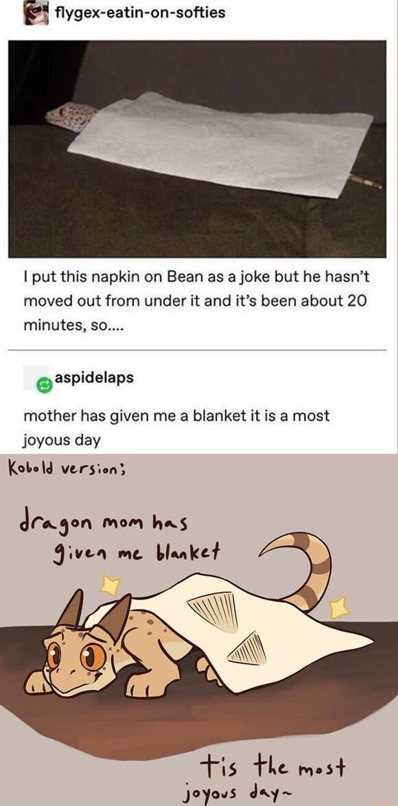 flygex eatin on softies put this napkin on Bean as a joke but he hasnt moved out from under it and its been about 20 minutes So aspidelaps mother has given me a blanket it is a most joyous day Kobeld version eraon Mmom has 9Jiven me blanket A s fhe most Joyous day
