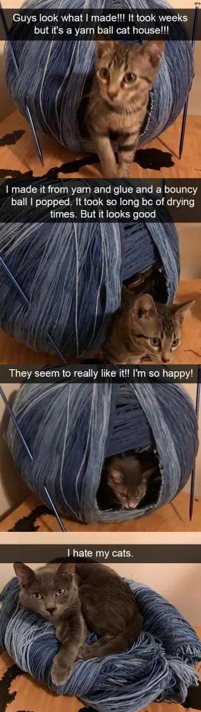 e Guys look what made It took weeks but its a yarn ball cat house made it from yarn and glue and a bouncy ball popped It took so long be of drying times But it looks good 27 F 4 X RLGEECE R N CERTTCR R TR g ET T