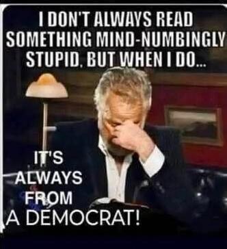 I DON'T ALWAYS READ SOMETHING MIND-NUMBINGLY STUPID. BUT WHEN I DO... IT'S ALWAYS FROM A DEMOCRAT!