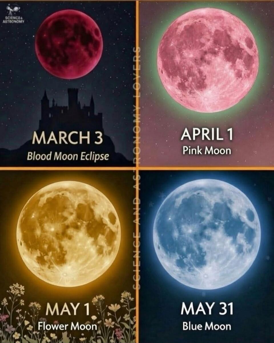 MARCH 3 Blood Moon Eclipse
APRIL 1 Pink Moon
MAY 1 Flower Moon
MAY 31 Blue Moon