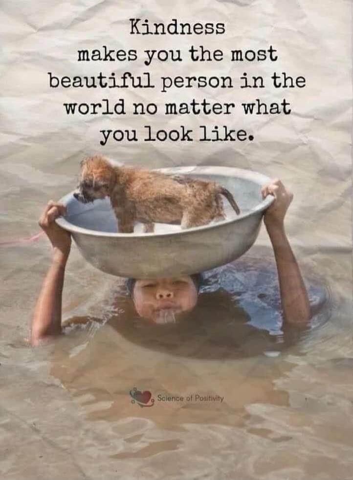 Kindness makes you the most beautiful person in the world no matter what you look like. Science of Positivity