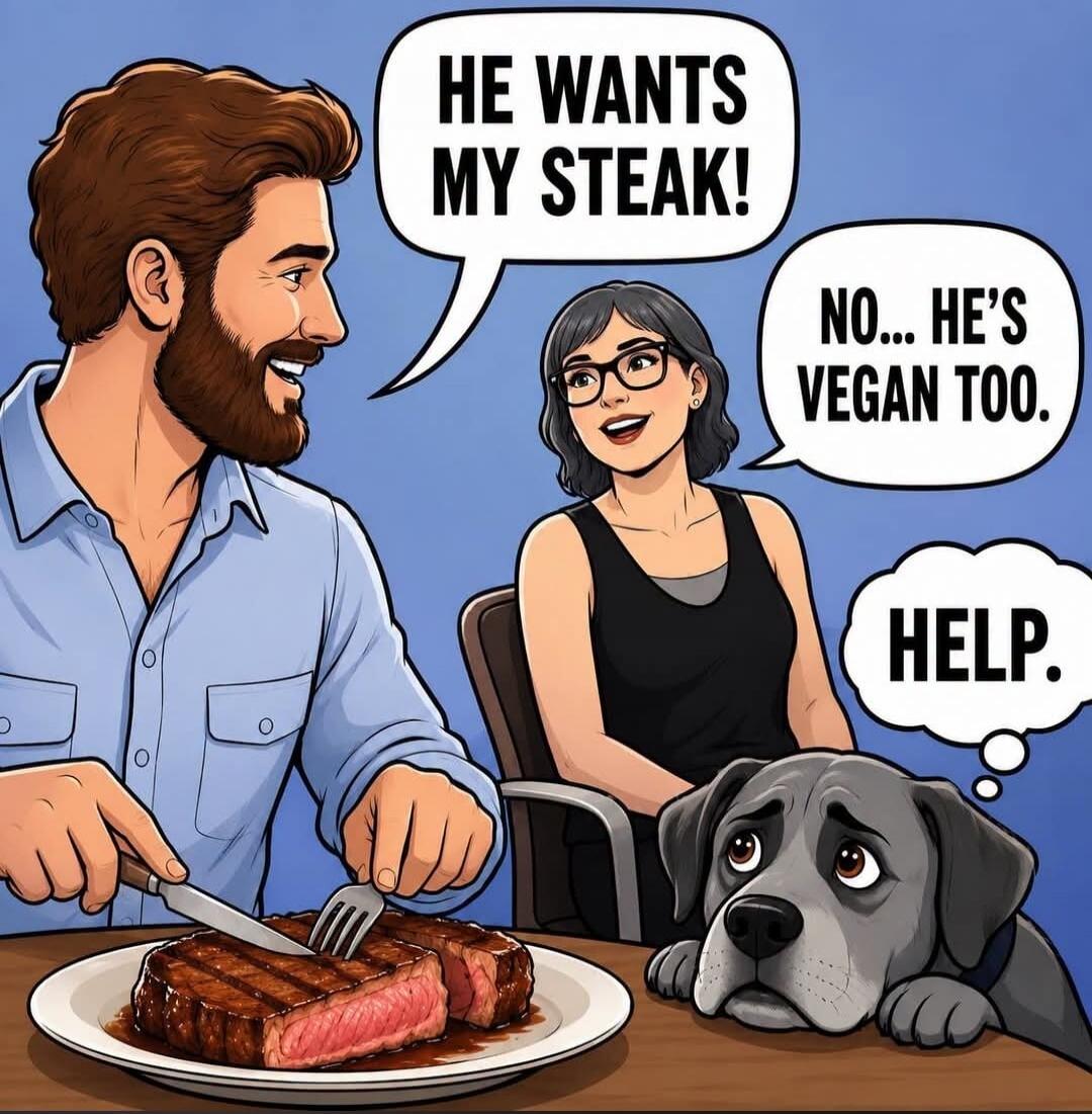HE WANTS MY STEAK! NO... HE'S VEGAN TOO. HELP.