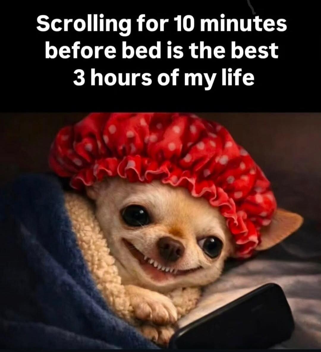Scrolling for 10 minutes before bed is the best 3 hours of my life