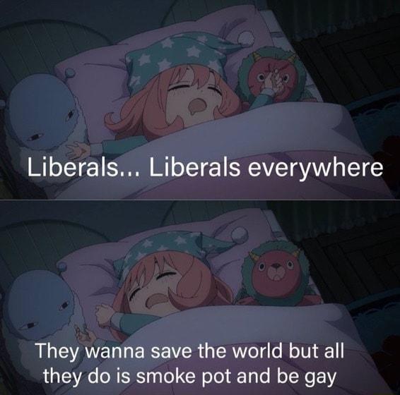 Liberals Liberals everywhere They wanna save the world but all they do is smoke pot and be gay