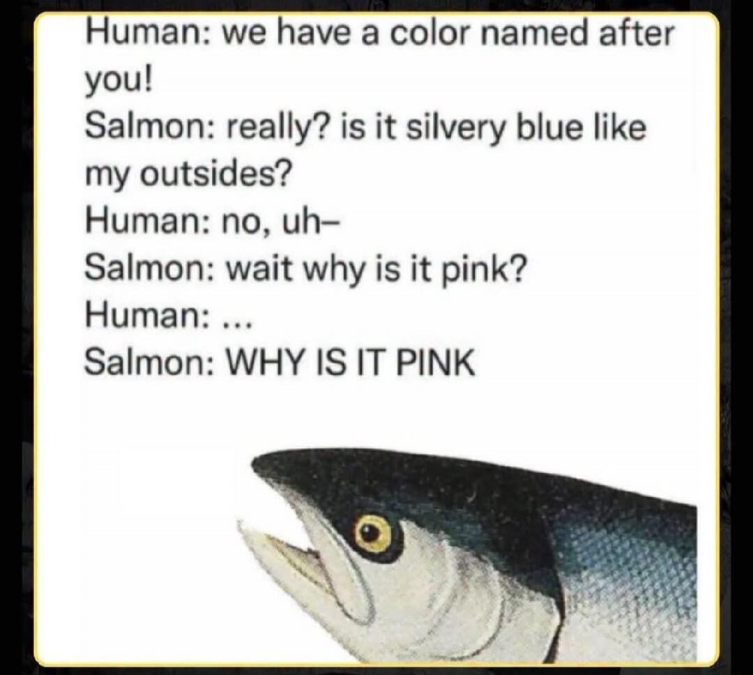 Human: we have a color named after you! Salmon: really? is it silvery blue like my outsides? Human: no, uh- Salmon: wait why is it pink? Human: ... Salmon: WHY IS IT PINK