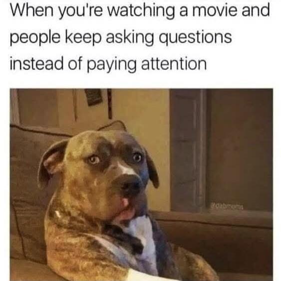 When you're watching a movie and people keep asking questions instead of paying attention