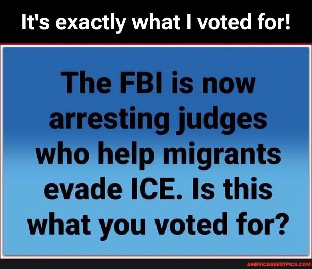 It's exactly what I voted for! The FBI is now arresting judges who help migrants evade ICE. Is this what you voted for?