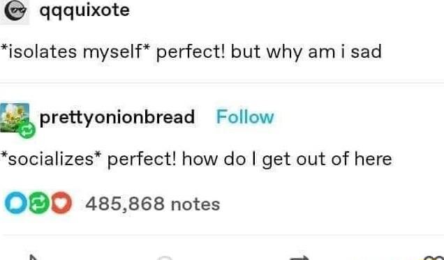 qqquixote isolates myself perfect but why am i sad a prettyonionbread Follow socializes perfect how do get out of here O0O 485868 notes