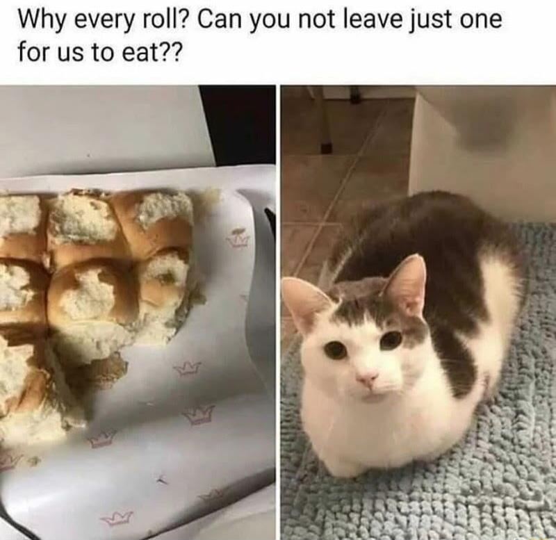 Why every roll Can you not leave just one for us to eat