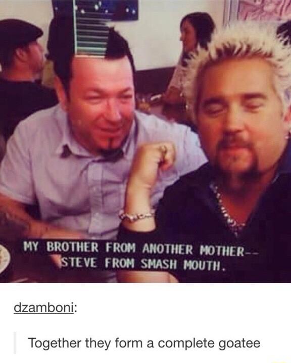 MY BROTHER FROM ANOTHER MOTHER SSTEVE FROM SMASH MOUTH dzamboni Together they form a complete goatee