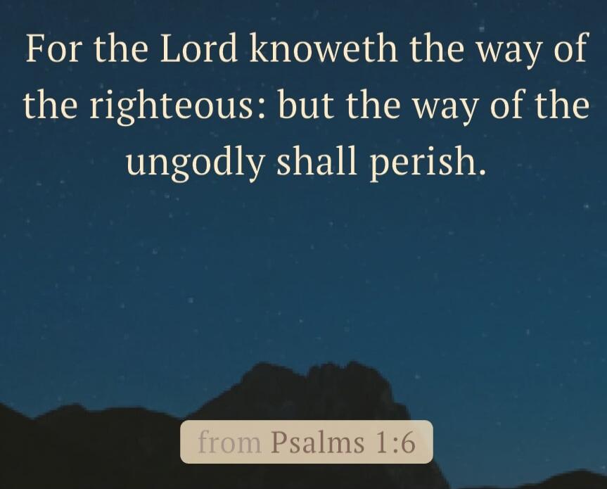 For the Lord knoweth the way of the righteous: but the way of the ungodly shall perish. from Psalms 1:6