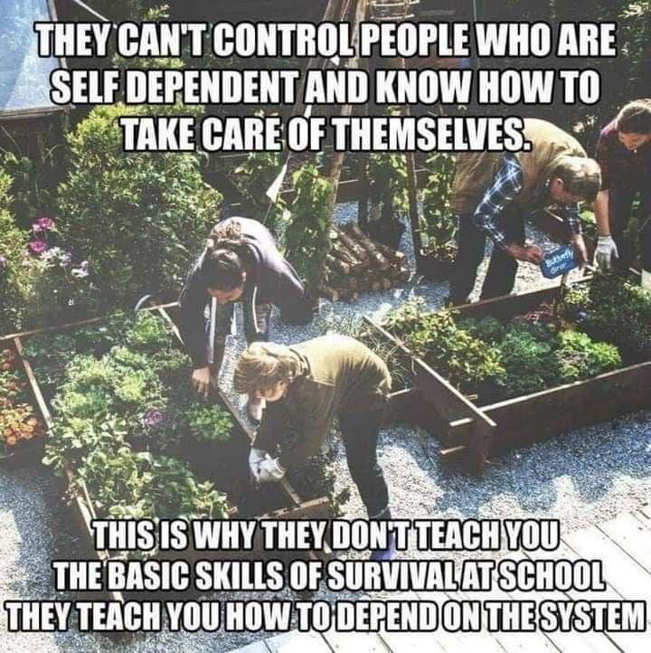 THEV CANT CONTROLIPEOPLE WHO ARE SELF DEPENDENT AND KNOW HOW TO TAKE CA nrmmsmisw