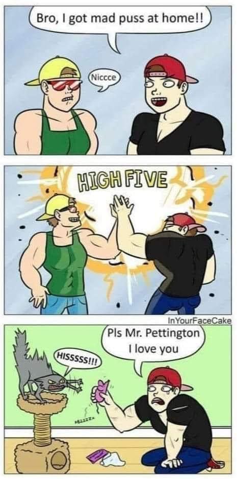 Bro got mad puss at home InYourFaceCake Pls Mr Pettington love you